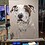 Jann_Green-Webb Jann_Green-Webb