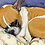 Linda_Heitzman Linda_Heitzman