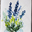Stanton_Allaben Stanton_Allaben